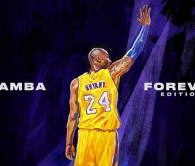 开云体育官网-辛纳澳网横扫拉沃尔杯，新一代领袖的崛起与网球格局的重塑