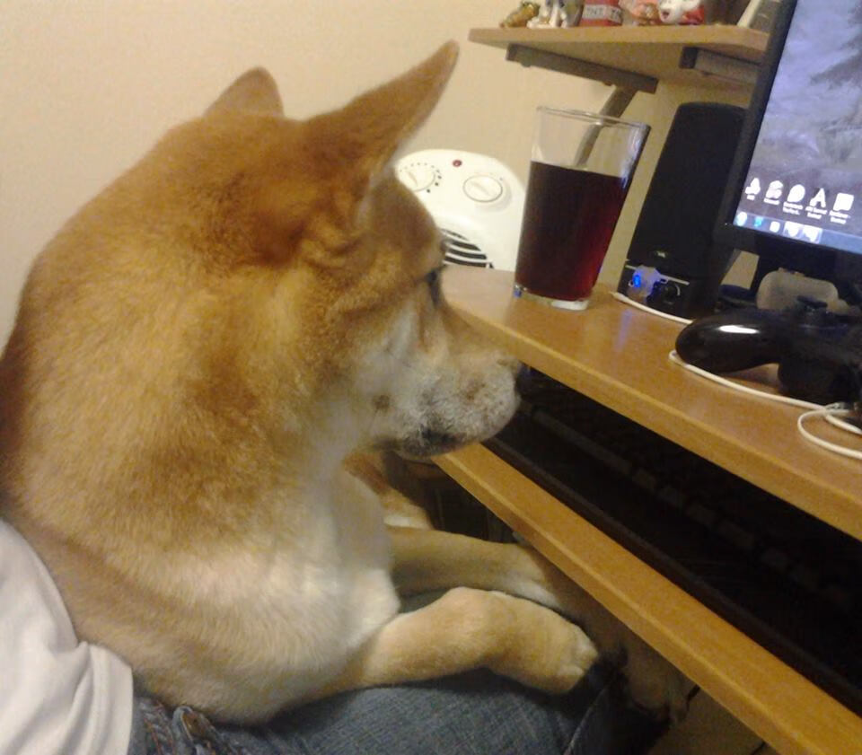 戈麦斯封神之战，美加墨世界杯的日耳曼意志，生死时刻击碎阿根廷神话